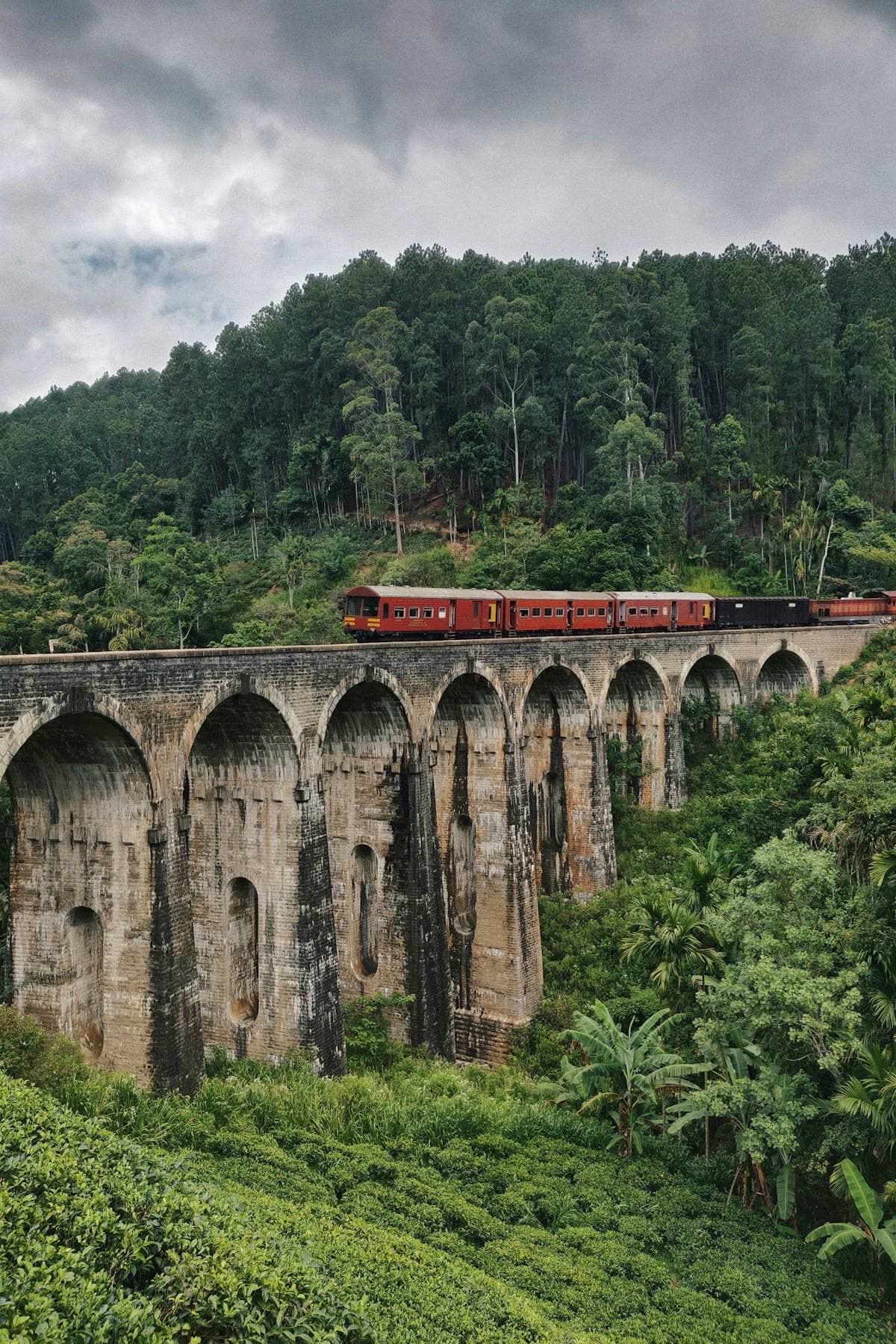 The blue train winding through tea plantations between Nuwara Eliya and Ella, Sri Lanka